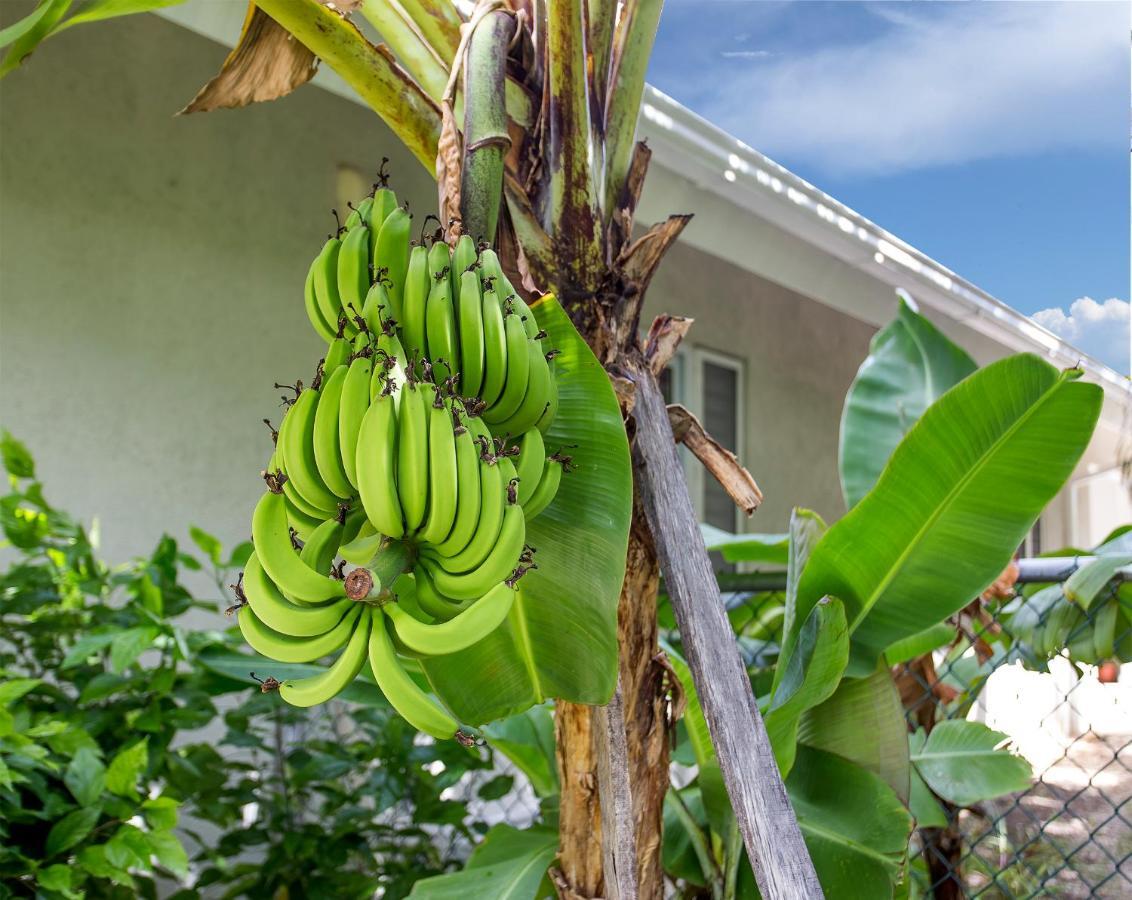 Nature'S Choice Home Richmond Palms, Jamaica Экстерьер фото